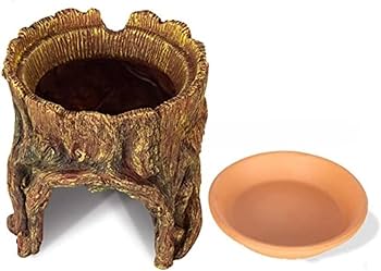 Amazon.co.jp: 爬虫類 シェルター 隠れ家 ウェットシェルター 洞窟 穴