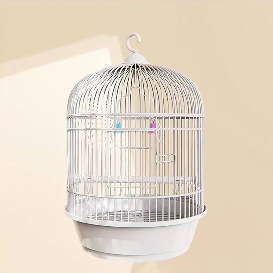 Amazon | Ctkp インテリア 鳥籠 持ち運び 鳥かご おしゃれ 鳥 ケージ