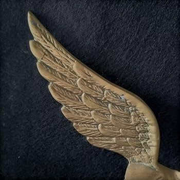 Amazon.co.jp: レトロ トラック野郎 デコトラ オートアクセサリー 鷲