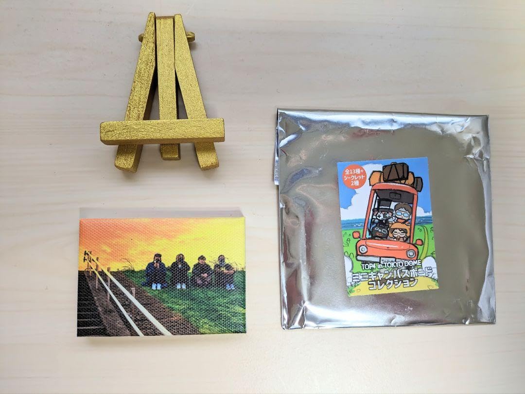 Amazon.co.jp: TOP4 ミニキャンバスボード 異物混入 : おもちゃ