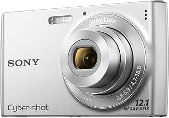 Amazon.com : Sony Cyber-Shot DSC-W510 12.1 MP Digital Still Camera
