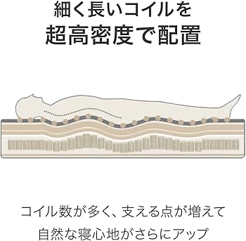 Amazon.co.jp: ニトリ マットレス Nスリープ コンフォートCF1-02