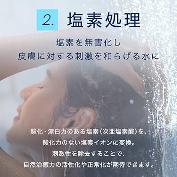 Amazon.co.jp: 【公式ストア】ionac イオナック 交換フィルター 日本製