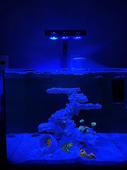 Coralview Aqua Knight A029 3rd Gen 30W Full Spectrum Reef Aquarium
