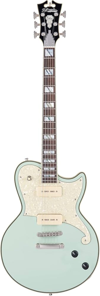 Amazon | D'Angelico Deluxe Atlantic Limited Edition, Sage | エレキ