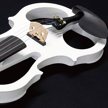 Amazon | キクタニ エレクトリックバイオリン セット 4/4サイズ ESV