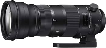 Sigma 150-600mm F5-6.3 DG OS HSM (S) Lens for Nikon F Cameras