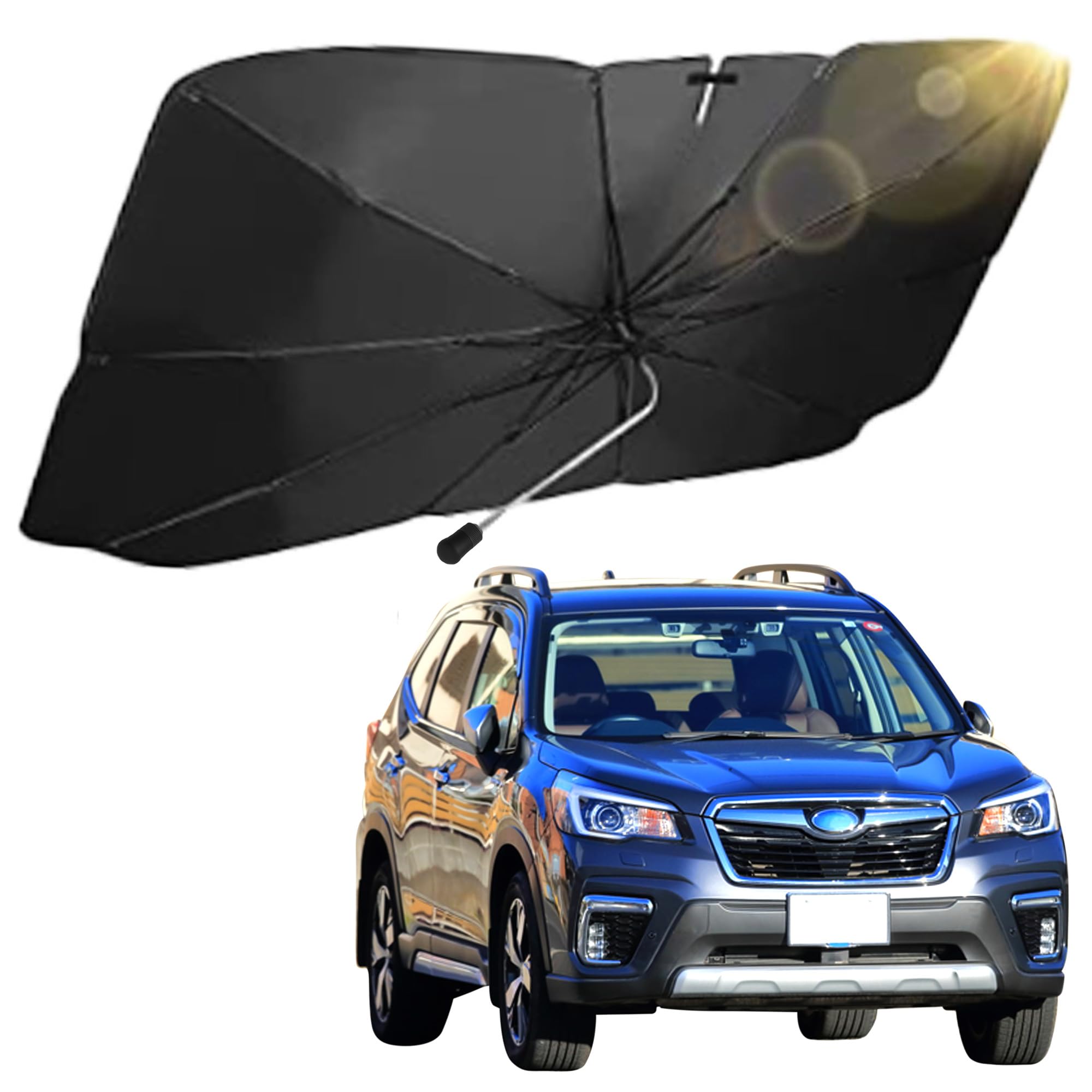 Amazon.co.jp: 【世田谷ベース掲載】 ALEBANA フォレスター