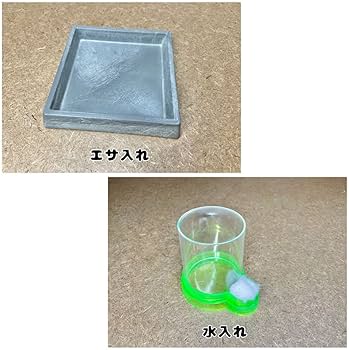 Amazon.co.jp: デュビア、レッドローチ、コオロギ飼育ケージ【掃除