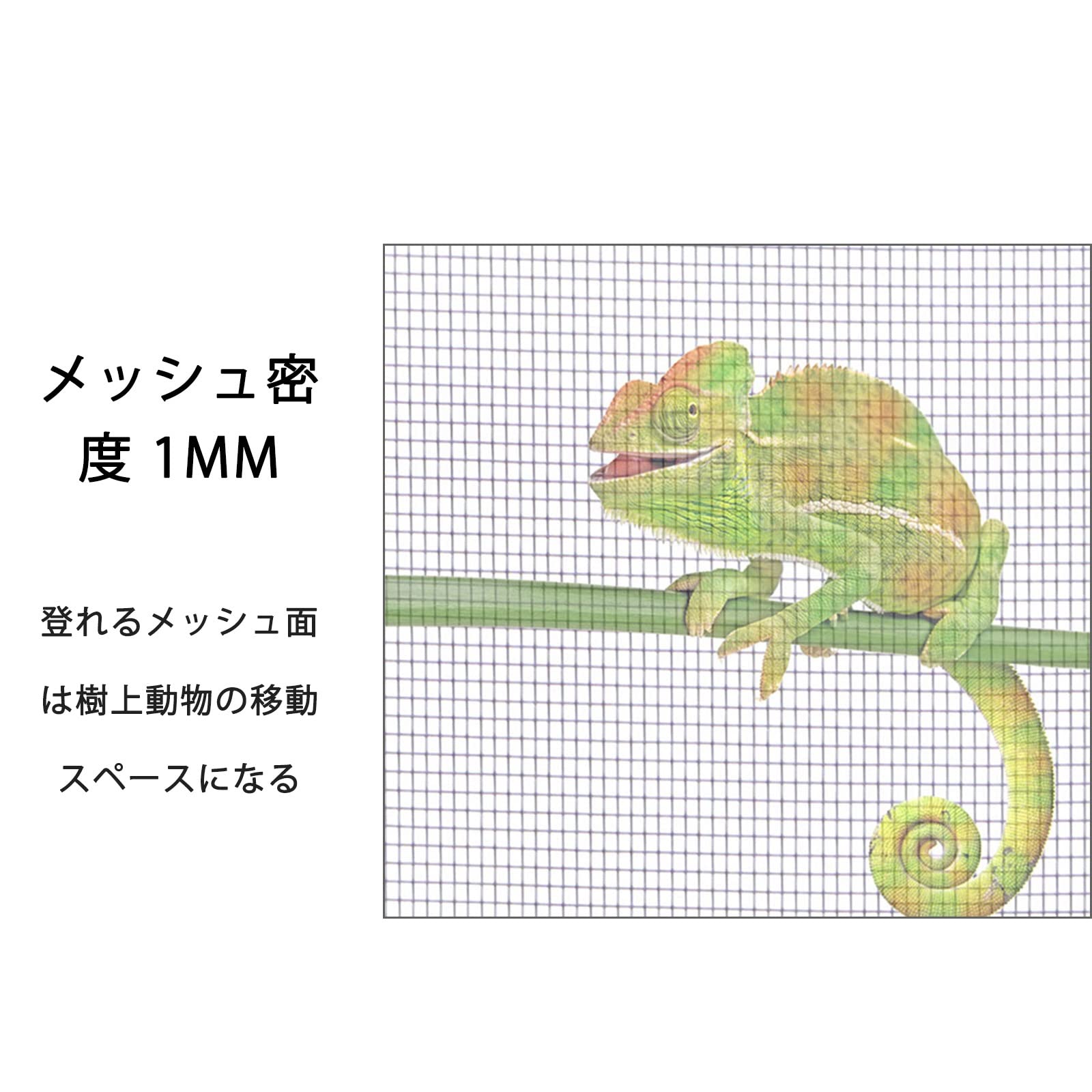 Amazon | 爬虫類飼育メッシュケージ、カメレオンボックス、の無脊椎