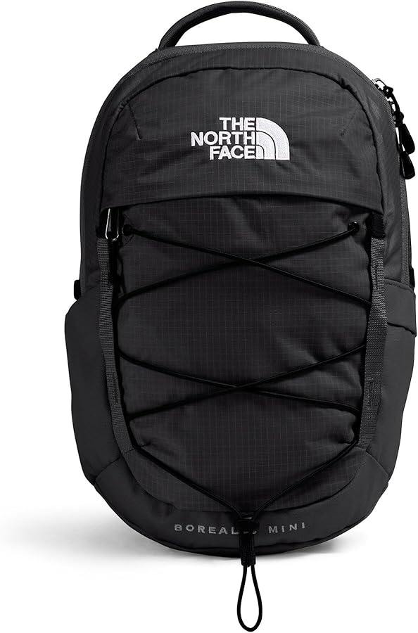 Amazon.com | The North Face 10L Mini Borealis Every Day Backpack