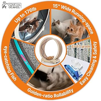 Amazon | スターキャットホイール、キャットトレッドミル、室内の猫用