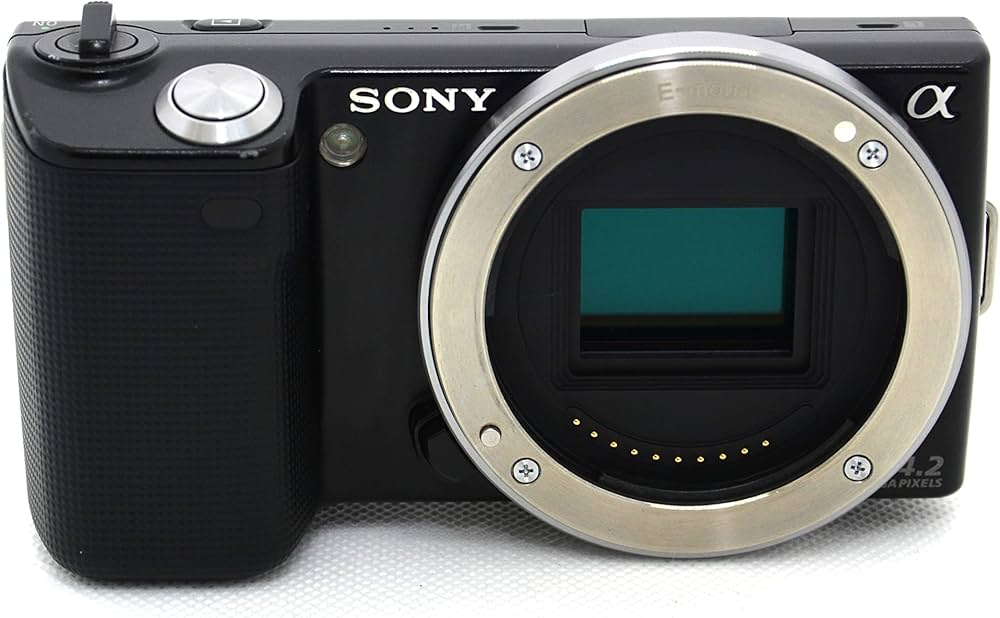 Amazon.co.jp: NEX-5 black sony body : Electronics