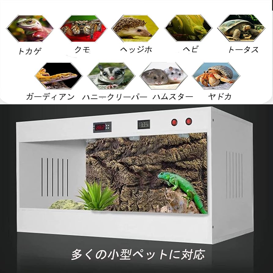 Amazon | MANTINFY 爬虫類ケージ 爬虫類飼育ケース 昆虫飼育ケース