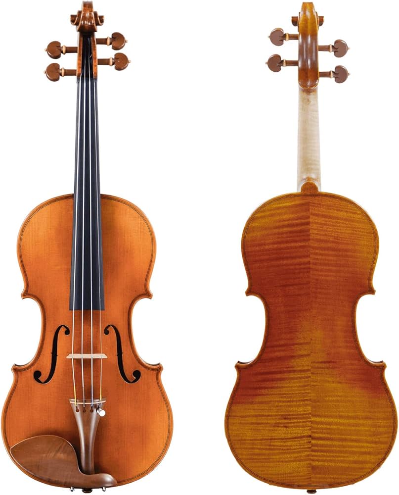 Amazon | ピグマリウス バイオリン・スタンダード4/4にアルシェ弓と