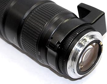 Amazon.co.jp: Canon ZOOM LENS EF 80-200mm F2.8 F/2.8 L : 家電＆カメラ