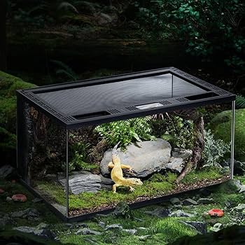 Amazon | 爬虫類 ケージ グラステラリウム 飼育ケース 大 昆虫飼育