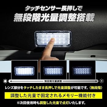 Amazon | YOURS(ユアーズ) ランドクルーザー 250 専用 バックドア