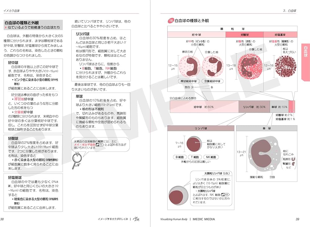 イメカラ ～イメージするカラダのしくみ～ 血液 第1版 | 医療情報科学