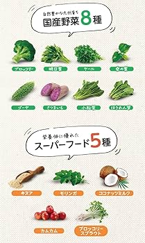 Amazon.co.jp: 【管理栄養士監修】LEYON スーパーフード 96g（4.8g×20