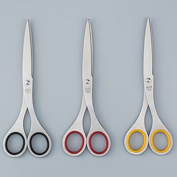 廃盤 ALLEX RAKUSHISYA 落柿舎 三角形 ハサミ 鋏 デザイン 箱 廃盤