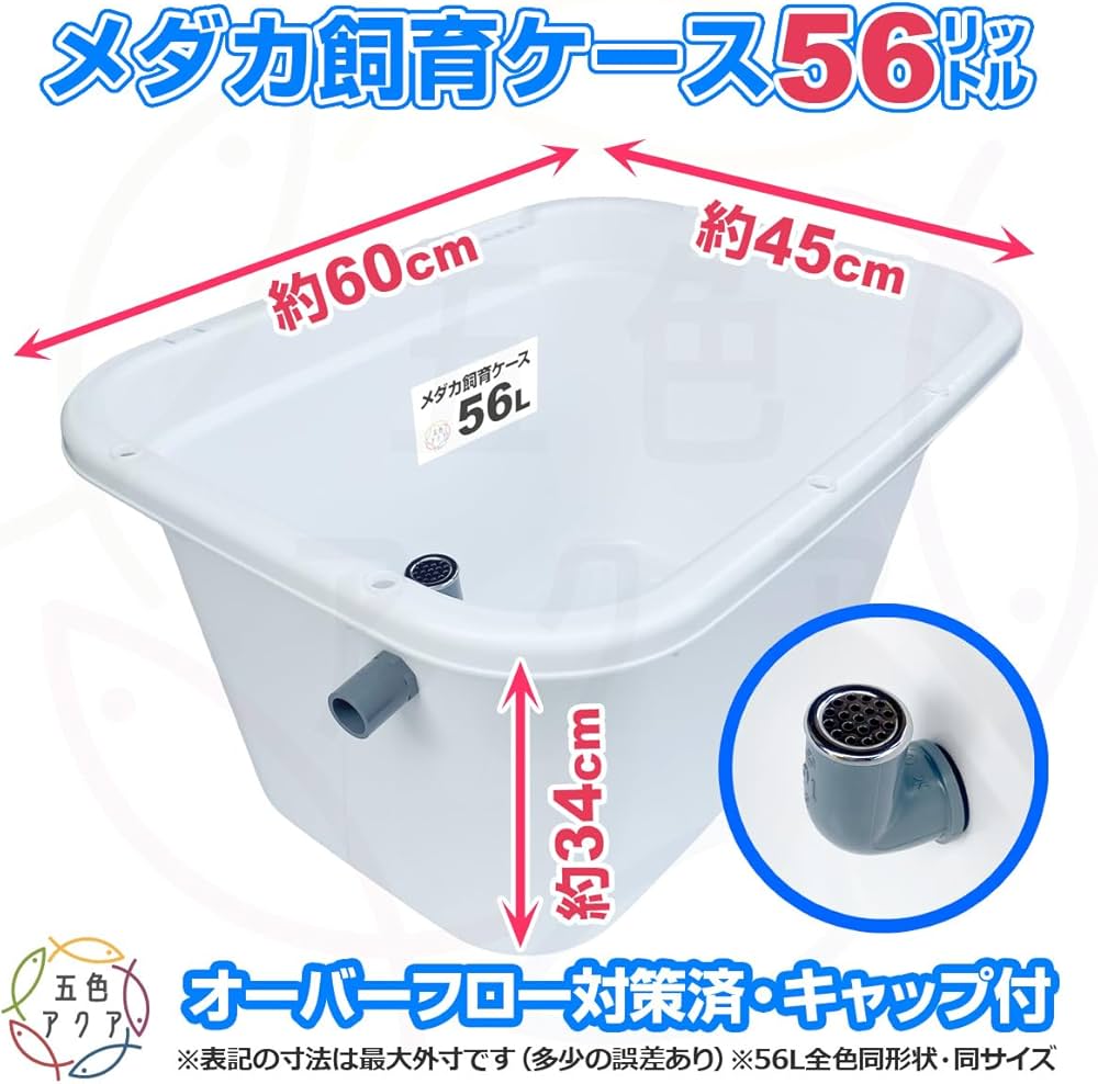 Amazon.co.jp: 五色アクア メダカ飼育容器 56リットル 白