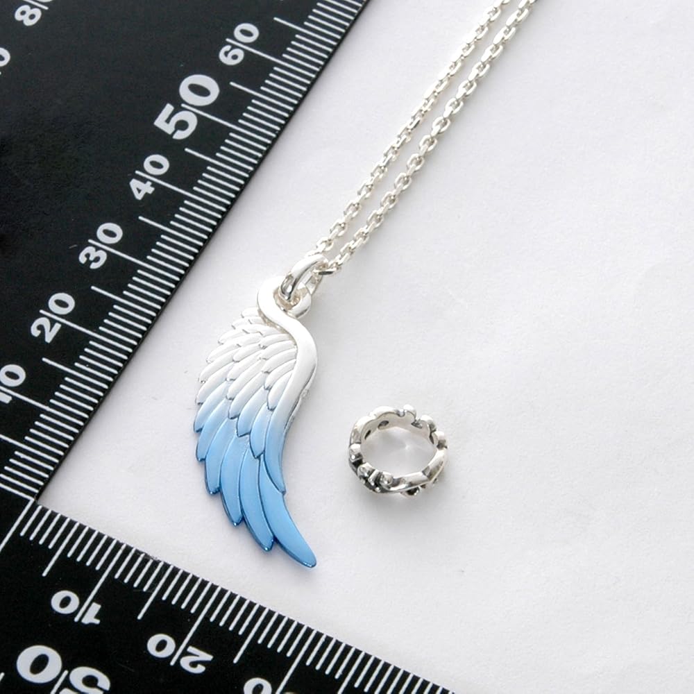 Amazon | [アクアシルバー] ネックレス メンズ シルバー フェザー