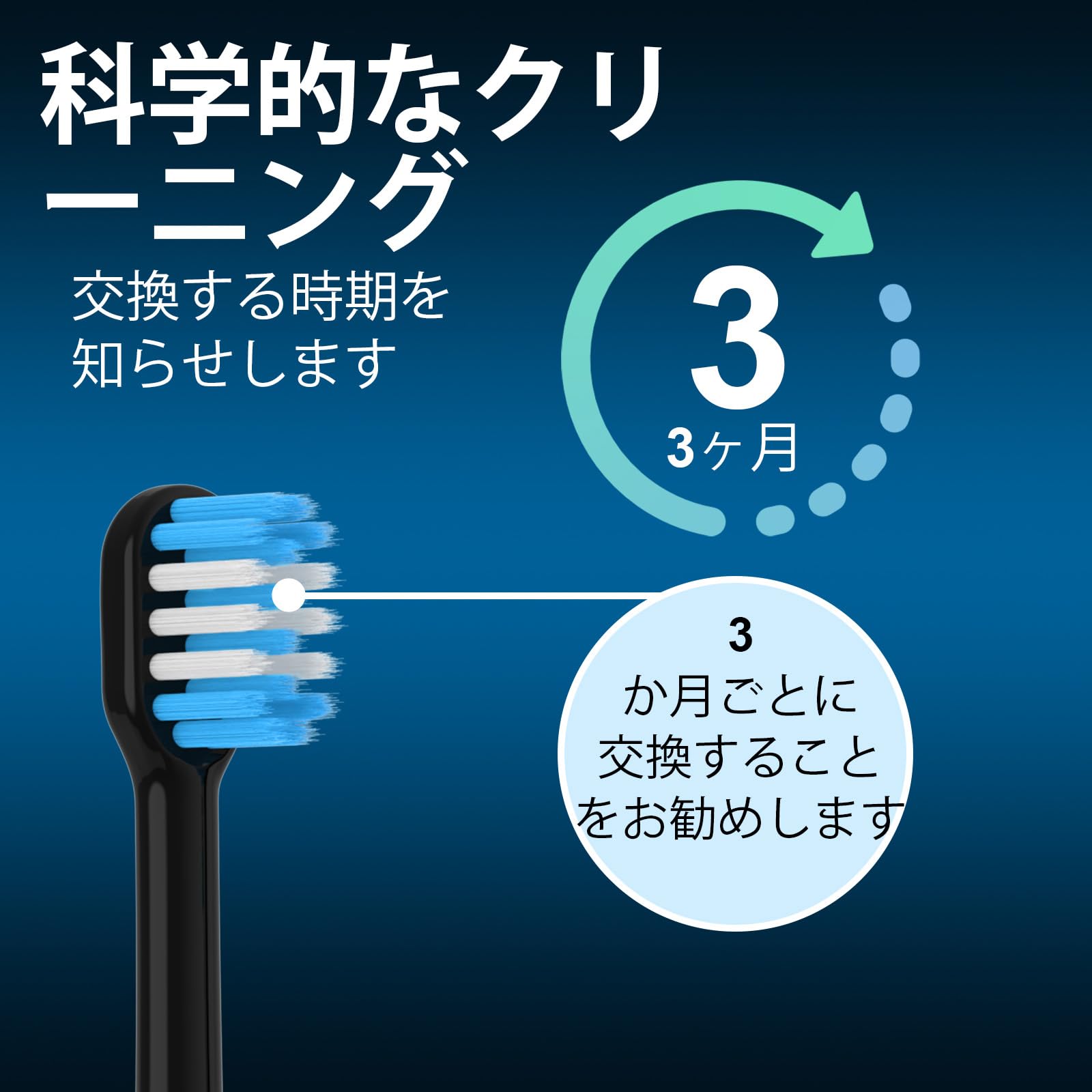 Amazon.co.jp: MERUYOO 電動歯ブラシ 替えブラシ パナソニック ドルツ