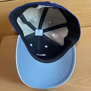 Amazon.co.jp: 中日ドラゴンズ 帽子 キャップ プロコレ 61cm グッズ