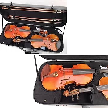 Amazon.co.jp: 4/4 バイオリンケース、ダブルバイオリンケース、2 つの