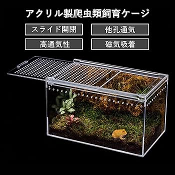 Amazon | COZENTA 爬虫類 ケージ シェルター アクリル製 トカゲ 蛇