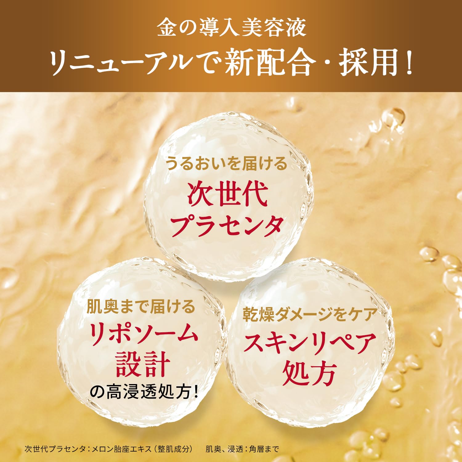 Amazon.co.jp: ドクターシーラボ (DR.CI:LABO) アクアインダーム導入