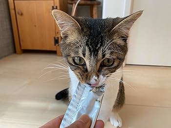 Amazon.co.jp: 【公式】neco-ri (ねこり) 獣医師と共同開発した健康