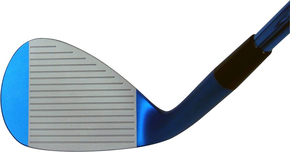 Amazon.co.jp: キャスコ(Kasco) ウェッジ ドルフィンウェッジブルー