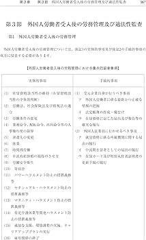 詳説 入管法と外国人労務管理・監査の実務－入管・労働法令、内部審査