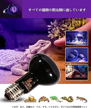 Amazon | UVA 2個セット 爬虫類ライト 両生類用 照明 25W 75W 100W E27