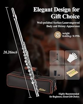 Amazon | Eastar フルート カバードキー 16穴 Eメカ付き オフセット