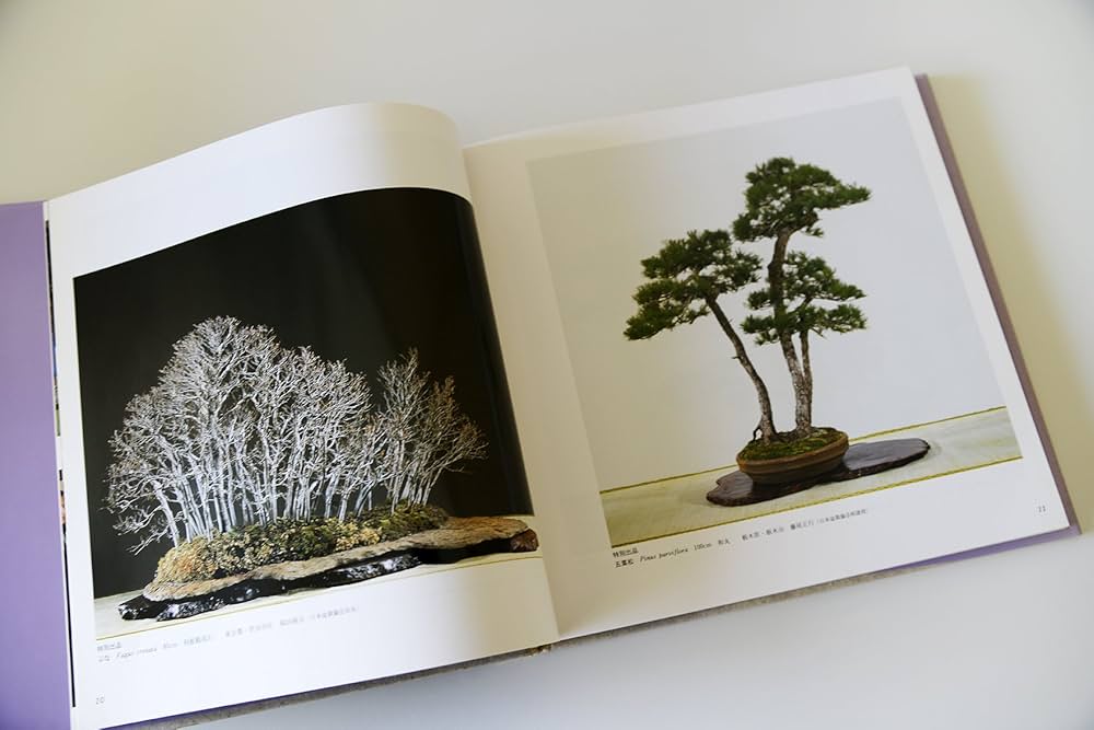 Amazon.co.jp: 国風盆栽展 第69回 : 日本盆栽協会: 本