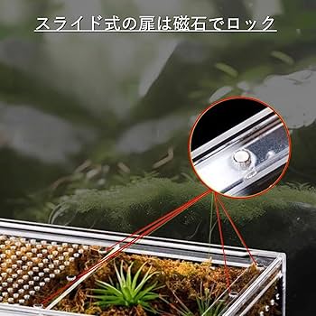 Amazon | COZENTA 爬虫類 ケージ シェルター アクリル製 トカゲ 蛇