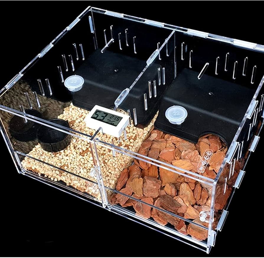 Amazon | 昆虫飼育ケース 透明 爬虫類ケージ レプタイルボックス