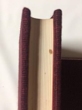 Amazon.co.jp: ヒマラヤ聖者の生活探求 全5巻 : B・T・スポール