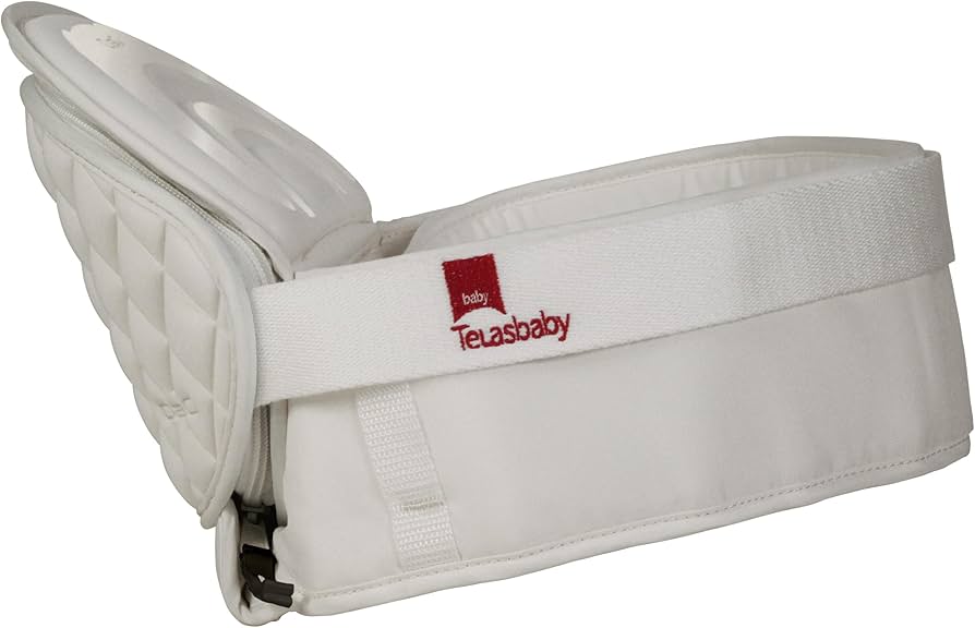 Amazon.co.jp: TeLasbaby(テラスベビー) ヒップシート DaG1 C310