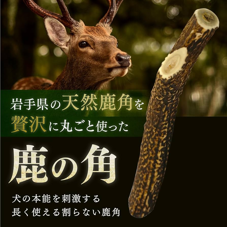 Amazon.co.jp: [オイシクテ] 鹿の角 犬 Lサイズ 大きい [20㎝前後 1本