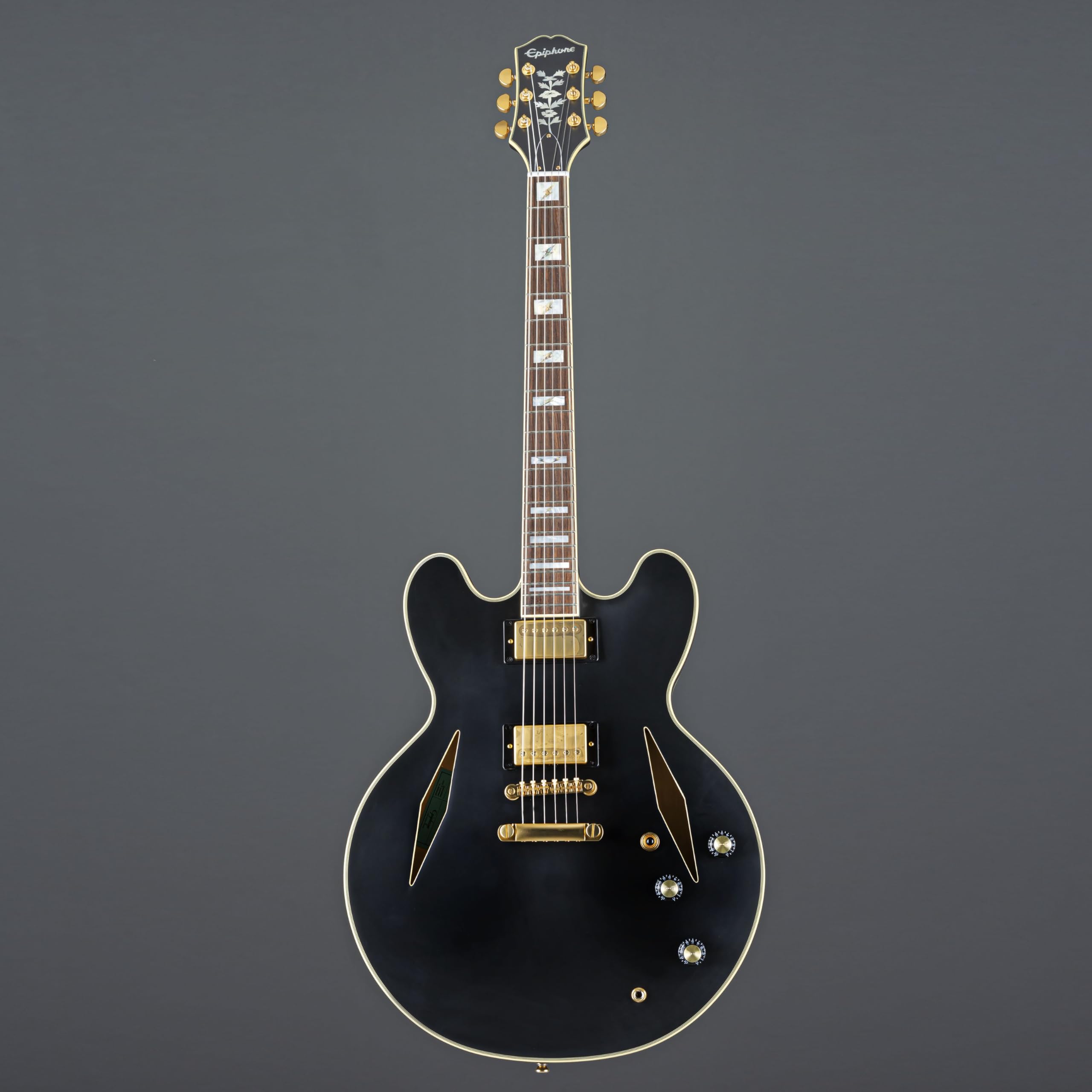 Amazon.com: Epiphone Emily Wolfe Sheraton Stealth Black Aged Gloss