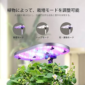 Amazon | JustSmart 水耕栽培キット 室内 水耕栽培 おしゃれ 家庭菜園