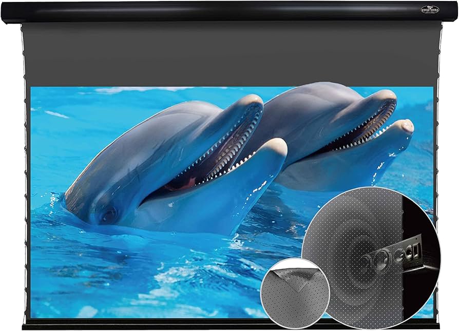 Amazon | プロジェクター スクリーン 長焦点 84インチ VIVIDSTORM