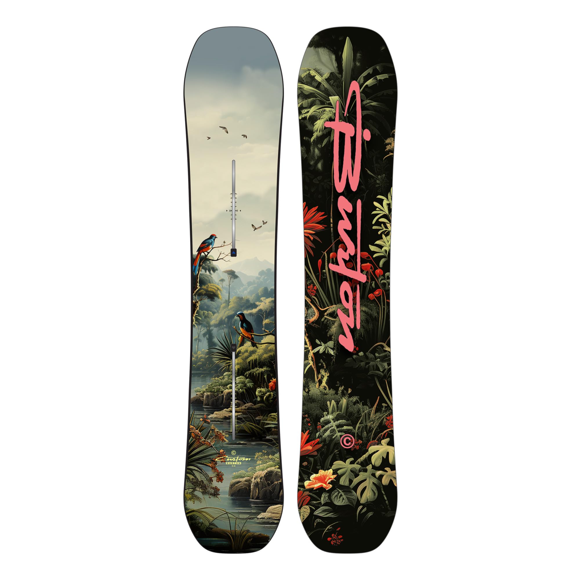 Amazon.com : Men's Burton Custom Camber Snowboard, 154cm, Jungle