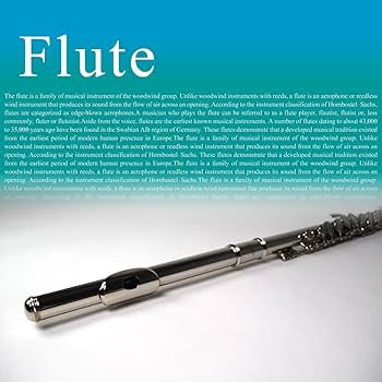 Amazon | Soleil ソレイユ フルート サクラ楽器オリジナル 初心者入門