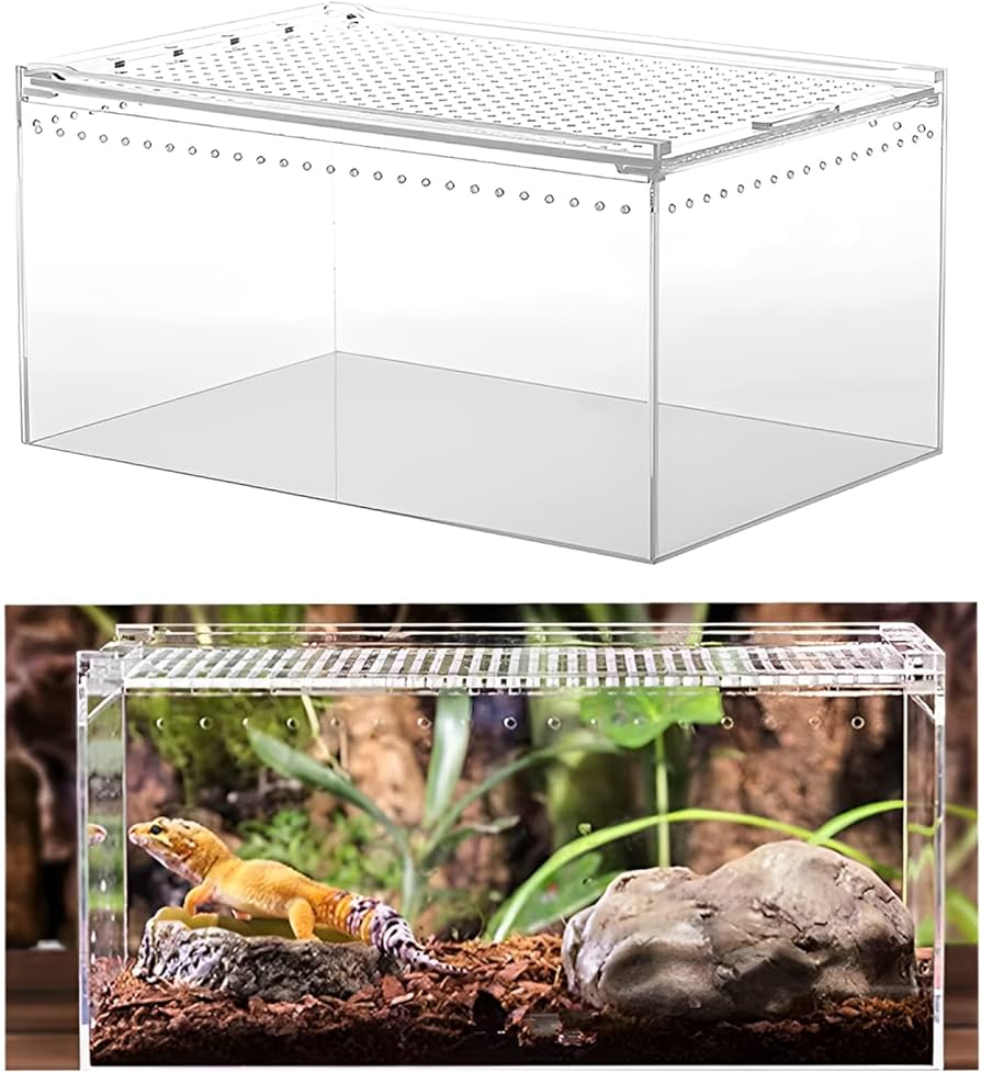 Amazon | Briskyjp レプタイルボックス 一体水漏れ防止 爬虫類 飼育