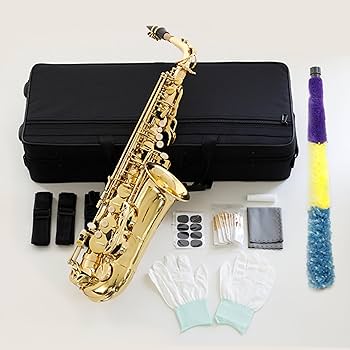 Amazon.co.jp: アルトサックスセット 本体 初心者向け 管体 管楽器